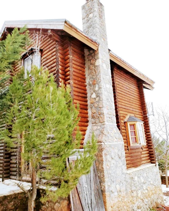 Paradise Chalet Ano Trikala Extérieur photo